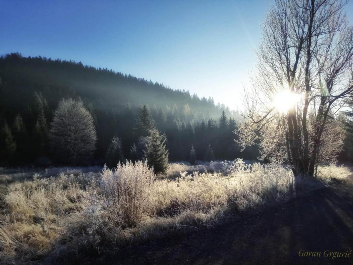 Zimski San Ravna Gora Buitenkant foto